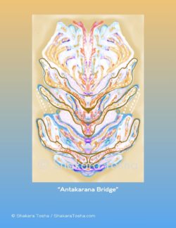 "Antakarana Bridge" Art Print