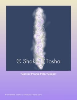 "Center Pranic Pillar Codes" Art Print