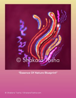 "Essence Of Nature Blueprint" Art Print