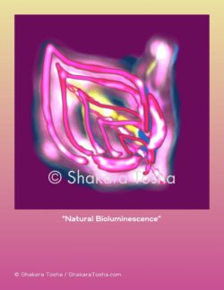 "Natural Bioluminescence" Art Print