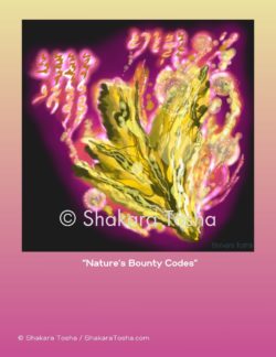 "Nature's Bounty Codes" Art Print