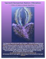"Sacred Elemental Nation Vibration" (Oracle Card)